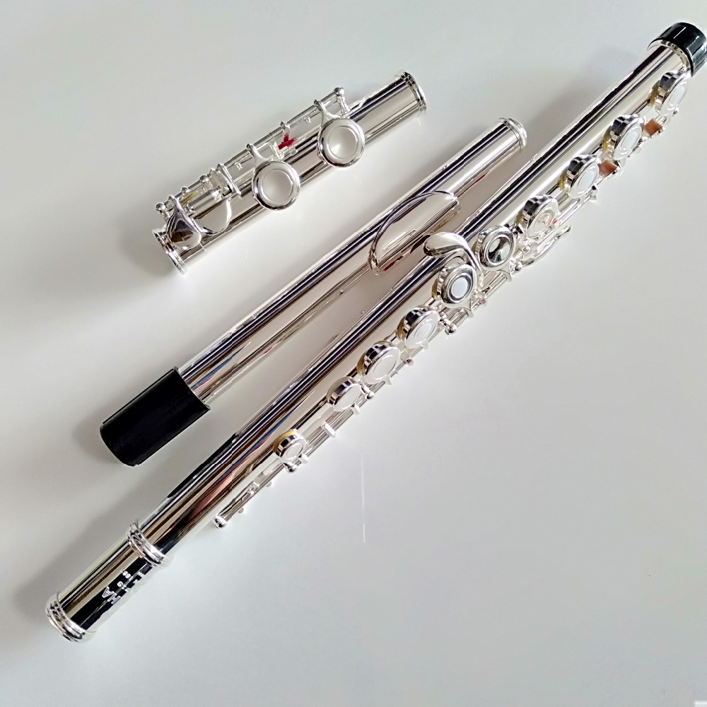 Flauta Profissional Top Japan  - Musical Instrument Japan avaliação e preço