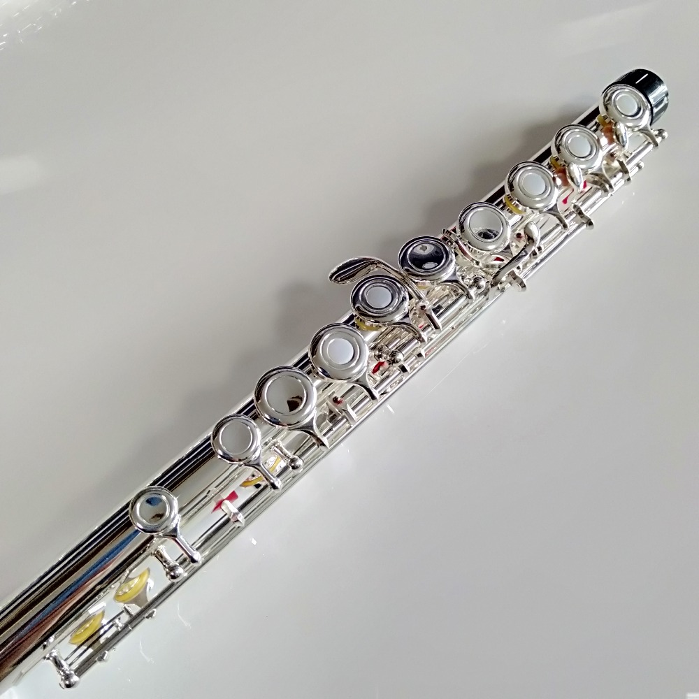 Flauta Profissional Top Japan  - Musical Instrument Japan avaliação e preço