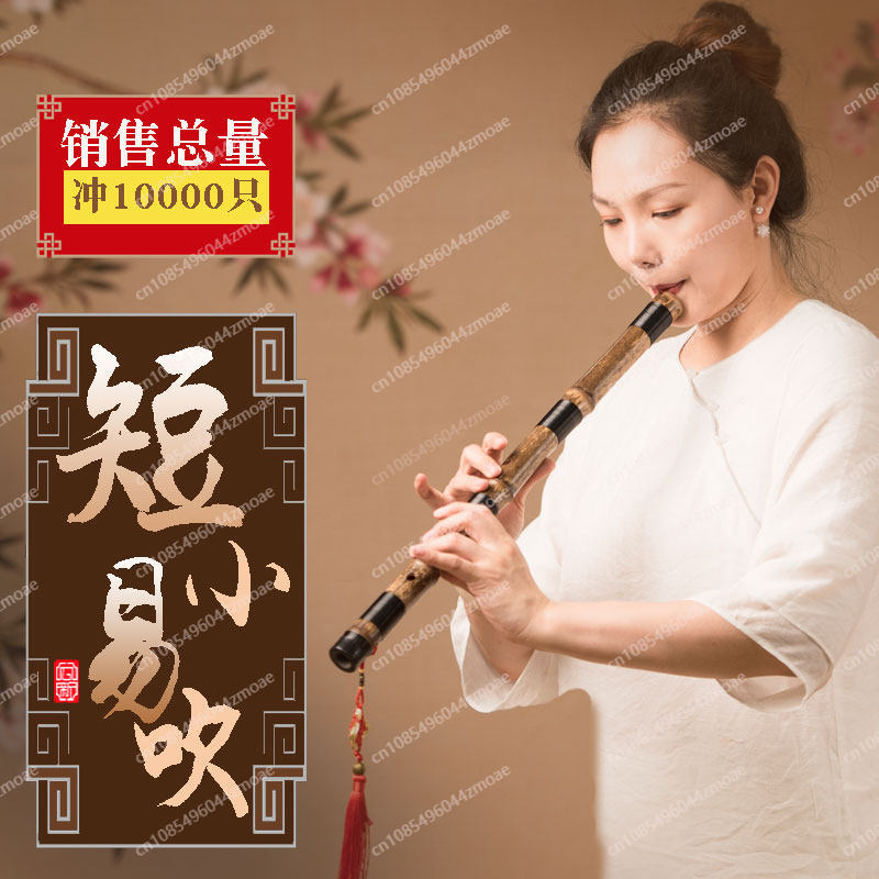 Flauta Profissional de Bambu C - Musical Instrument Xiao avaliação e preço