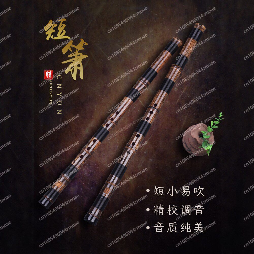 Flauta Profissional de Bambu C - Musical Instrument Xiao avaliação e preço