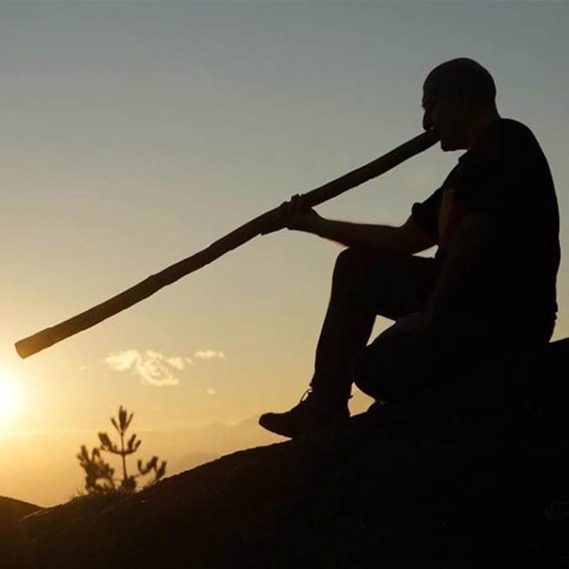 Didgeridoo de bambu profission - Musical Instrument Didgeridoo avaliação e preço