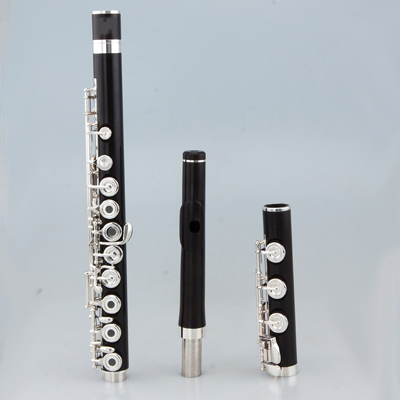 Flauta Profissional Japonesa d - Musical Instrument Japan avaliação e preço