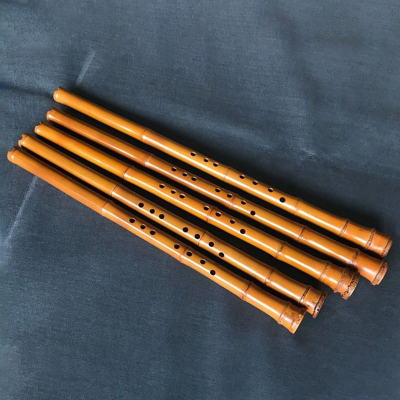 8 buracos de bambu xiao desemp - Musical Instrument Xiao avaliação e preço