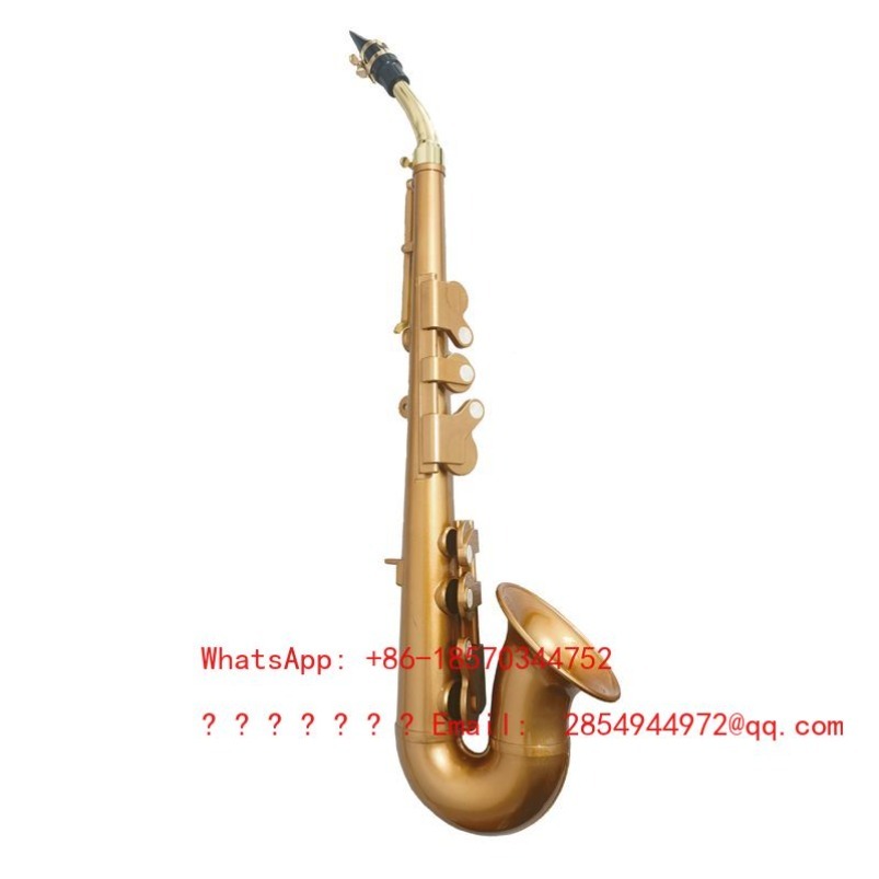 Saxofone de Resina Instrumento - Musical Instrument Easy To Learn For Adults avaliação e preço