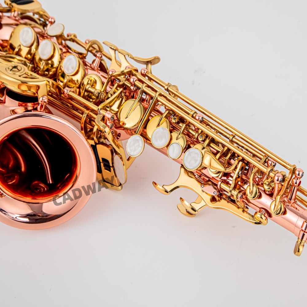 Saxofone Soprano Japonês em Si - Musical Instrument Japan avaliação e preço