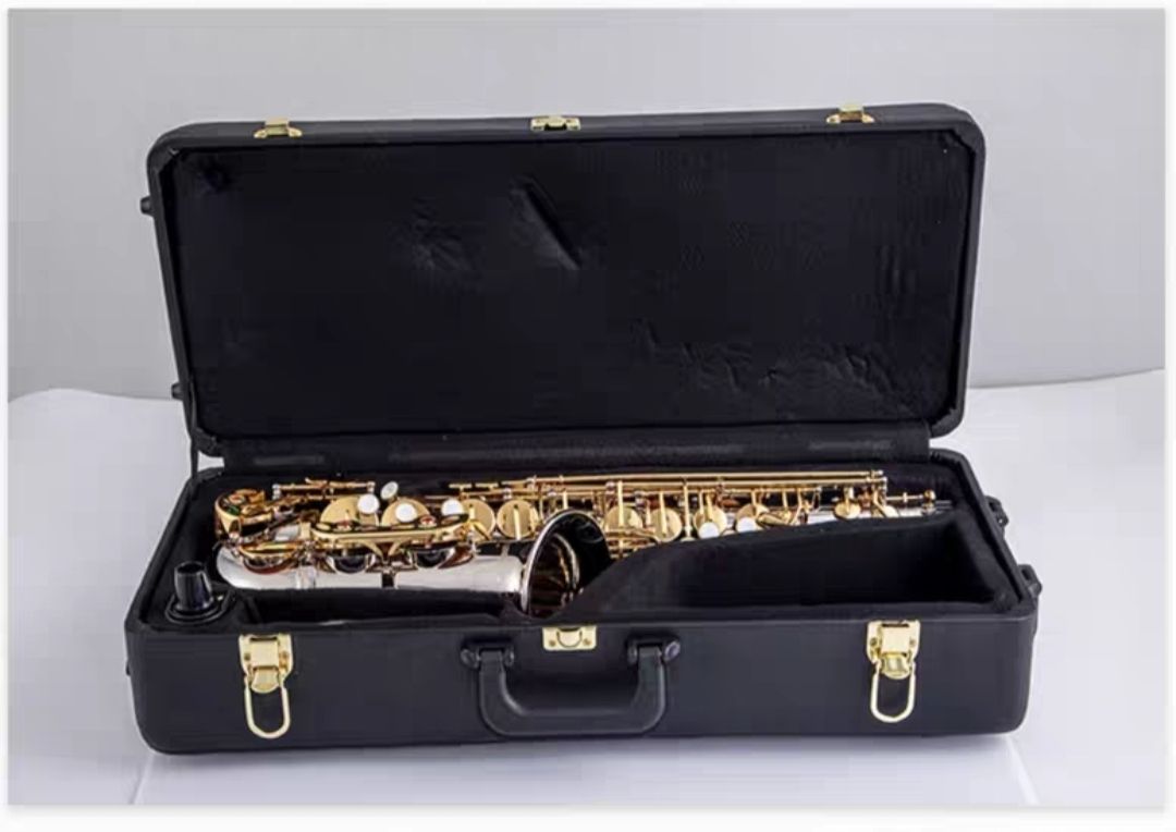Saxofone Alto Clássico Japonês - Musical Instrument Japan avaliação e preço